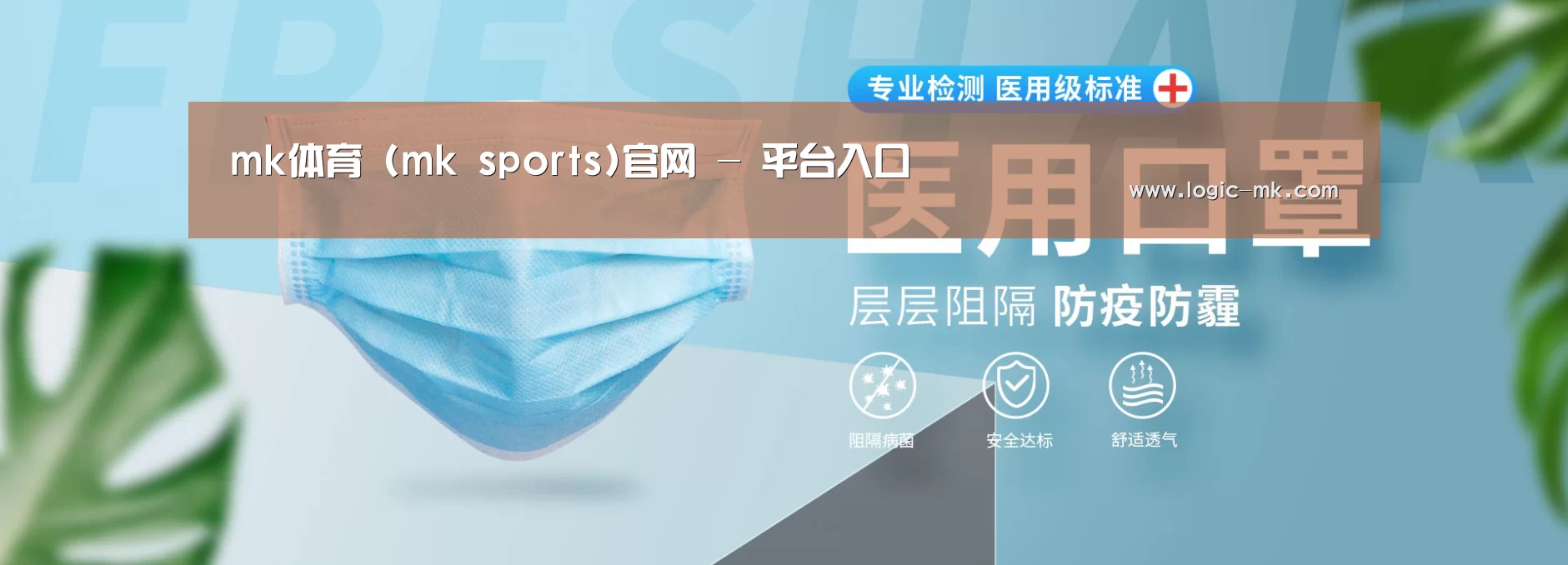 某某口罩防护用品有限公司