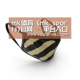 成人布口罩