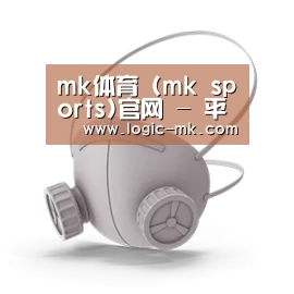 N95 口罩