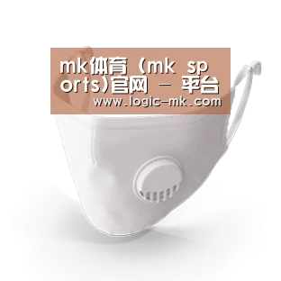 N95 口罩