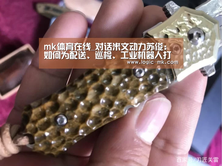 mk体育在线_对话米文动力苏俊:如何为配送、巡检、工业机器人打造强力大脑(图2) mk体育注册
