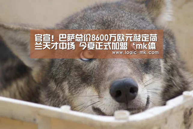 官宣！巴萨总价8600万欧元敲定荷兰天才中场 今夏正式加盟‘mk体育app’