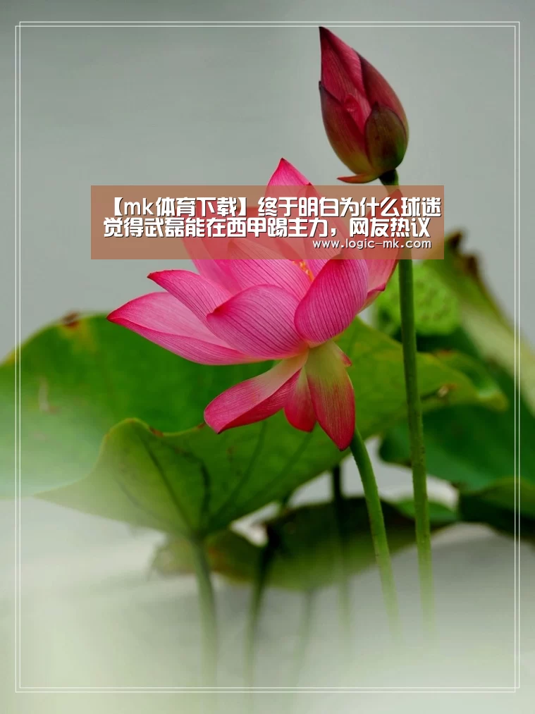 mk体育在线