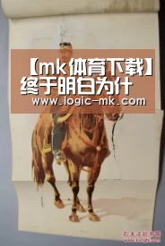 【mk体育下载】终于明白为什么球迷觉得武磊能在西甲踢主力，网友热议一针见血