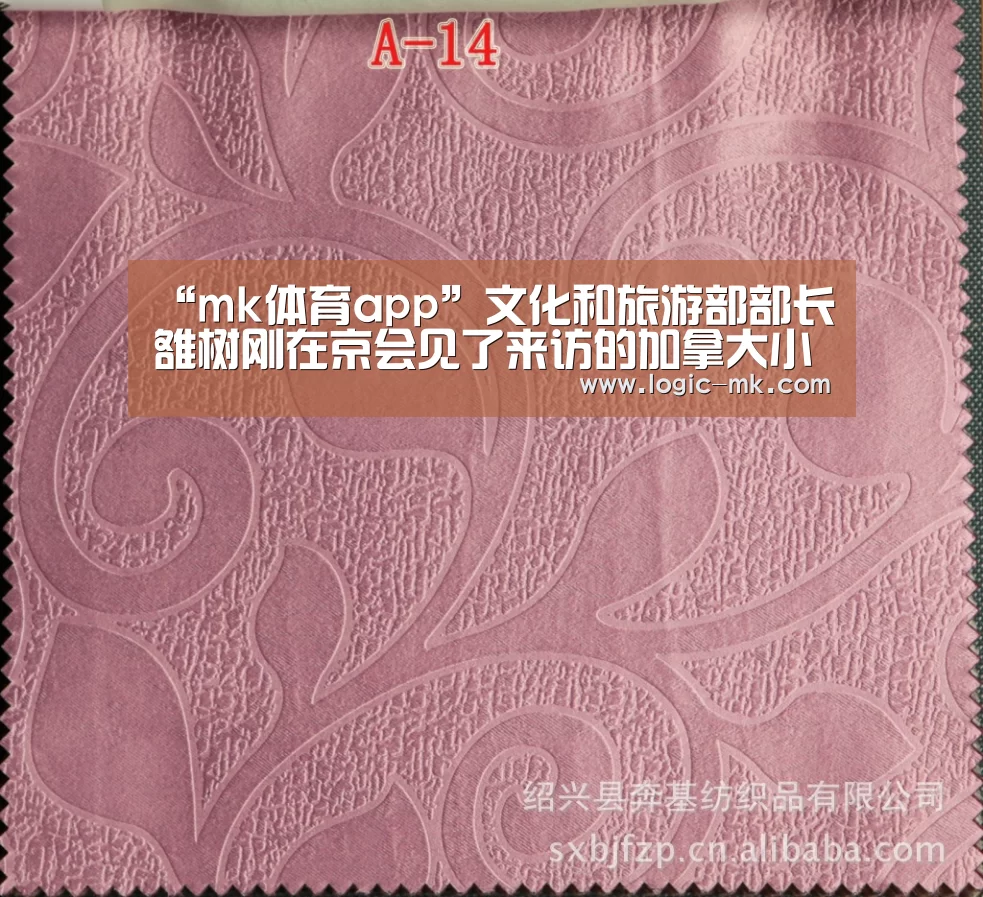 “mk体育app”文化和旅游部部长雒树刚在京会见了来访的加拿大小企业和旅游部长楚