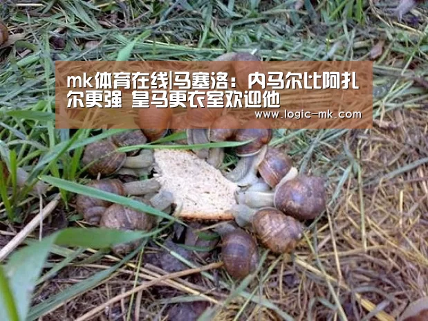 mk体育在线|马塞洛:内马尔比阿扎尔更强 皇马更衣室欢迎他(图2) mk体育注册