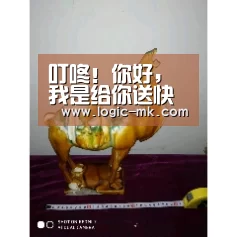 叮咚！你好，我是给你送快递的机器人‘mk体育下载’