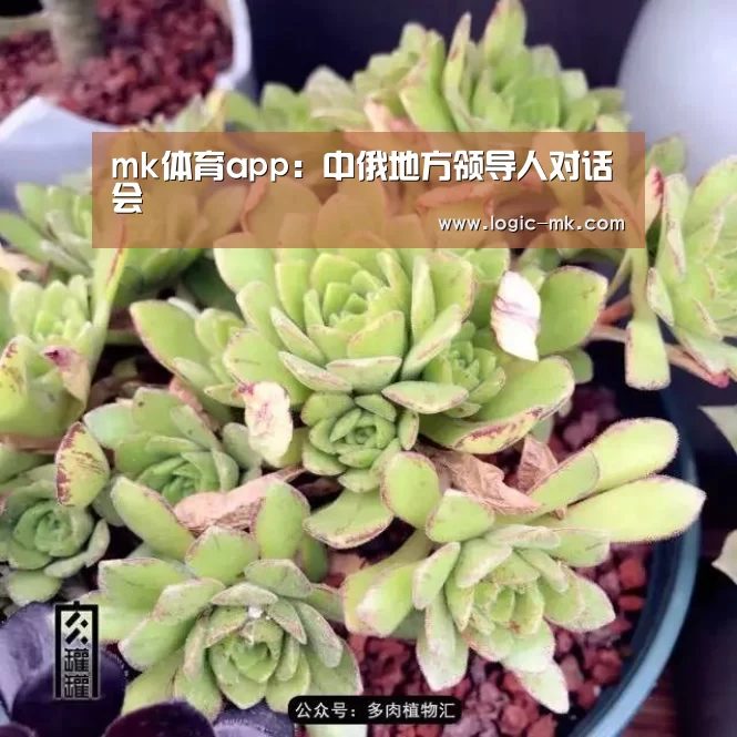 mk体育app:中俄地方领导人对话会(图2) mk体育app