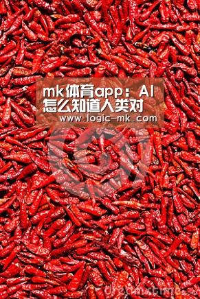 mk体育app:AI怎么知道人类对话在说什么?微软研究团队告诉你(图3) mk体育app