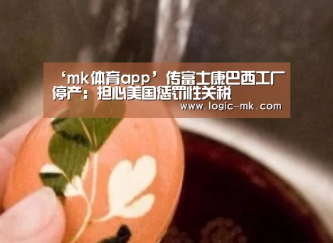 ‘mk体育app’传富士康巴西工厂停产:担心美国惩罚性关税(图3) mk体育注册
