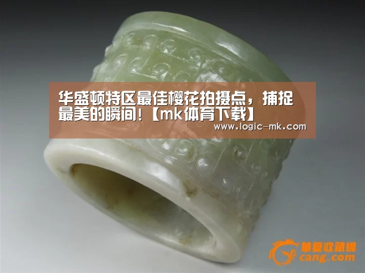 华盛顿特区最佳樱花拍摄点，捕捉最美的瞬间!【mk体育下载】