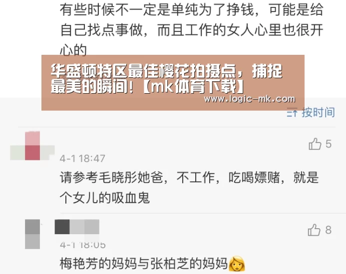 华盛顿特区最佳樱花拍摄点,捕捉最美的瞬间!【mk体育下载】(图2) mk体育在线