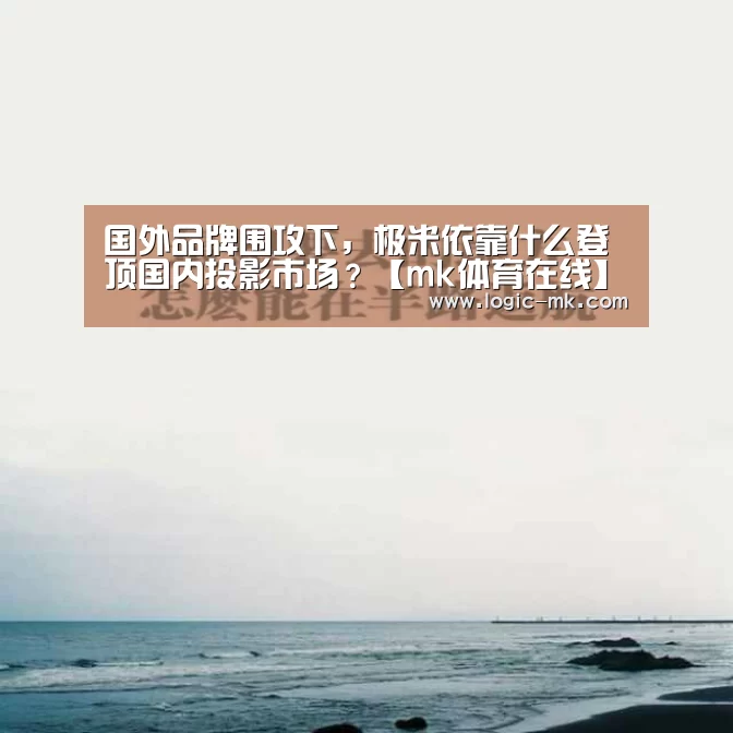 国外品牌围攻下,极米依靠什么登顶国内投影市场?【mk体育在线】(图4) mk体育下载