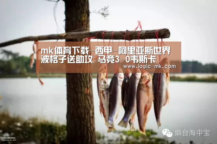 mk体育下载-西甲-阿里亚斯世界波格子送助攻 马竞3-0韦斯卡(图3) mk体育app