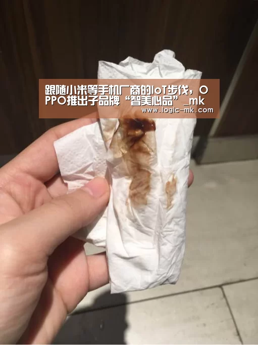 跟随小米等手机厂商的IoT步伐，OPPO推出子品牌“智美心品”_mk体育下载