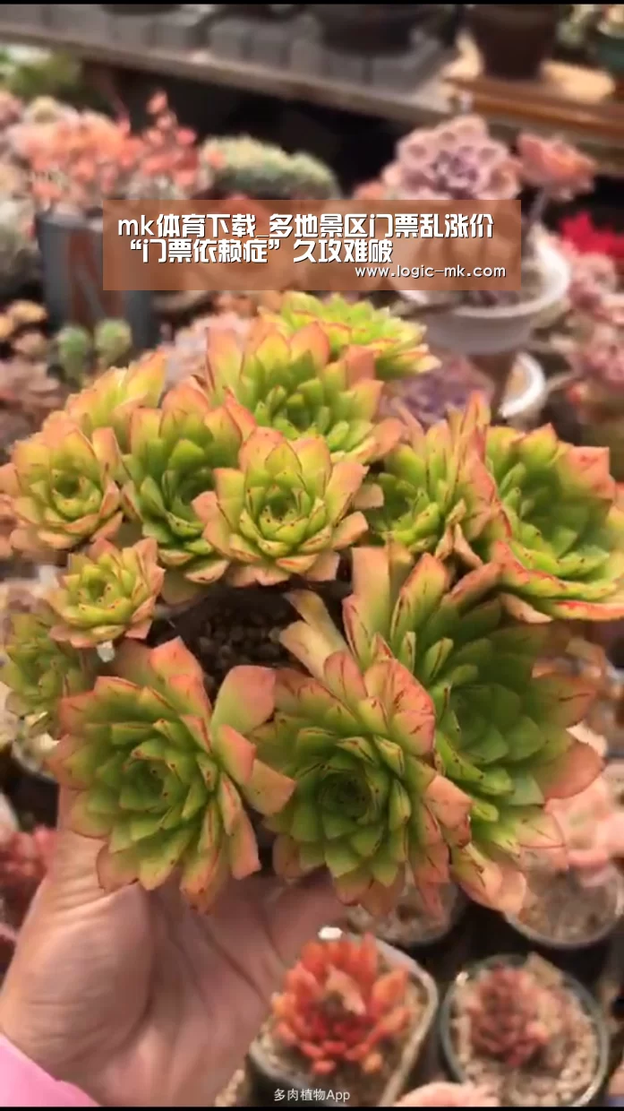 mk体育下载_多地景区门票乱涨价 “门票依赖症”久攻难破(图2) mk体育下载