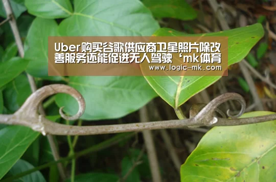 Uber购买谷歌供应商卫星照片除改善服务还能促进无人驾驶‘mk体育app’