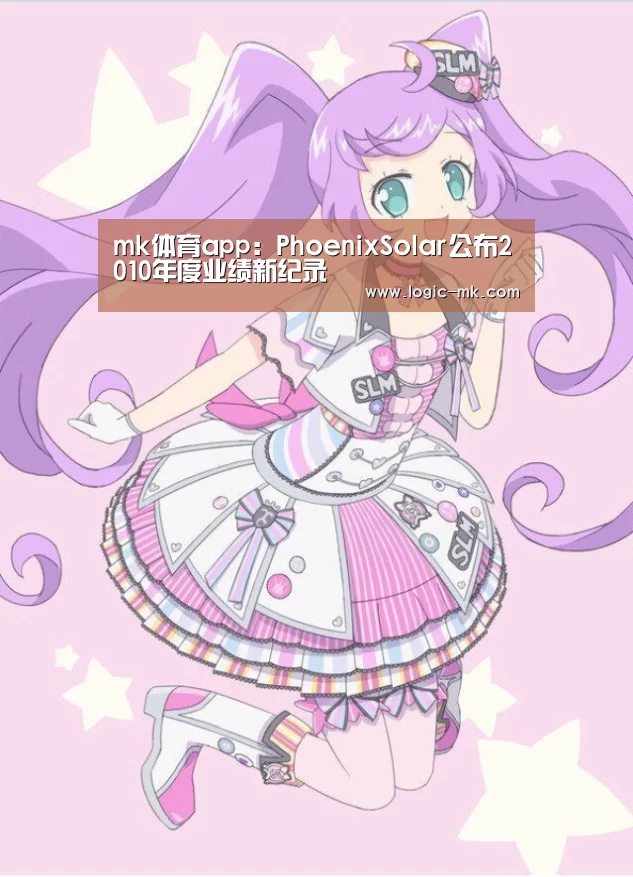 mk体育app:PhoenixSolar公布2010年度业绩新纪录(图3) mk体育app