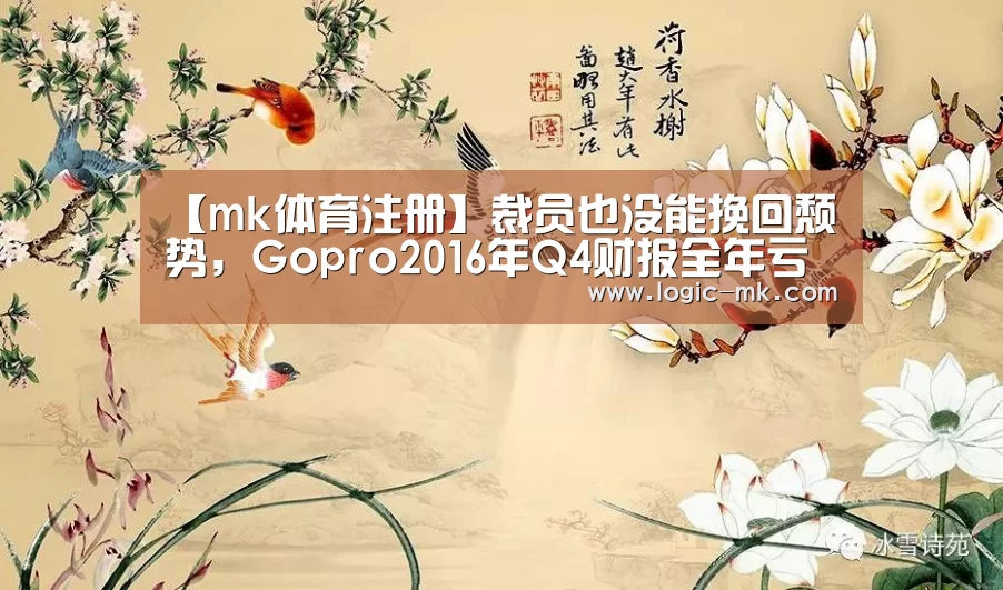 【mk体育注册】裁员也没能挽回颓势，Gopro2016年Q4